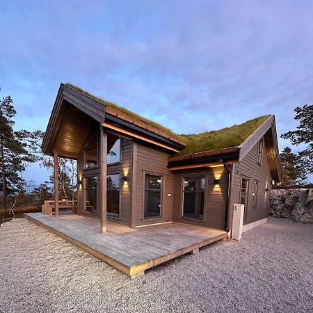 Modern Northern Lights Cabin Drangedal Dış mekan fotoğraf