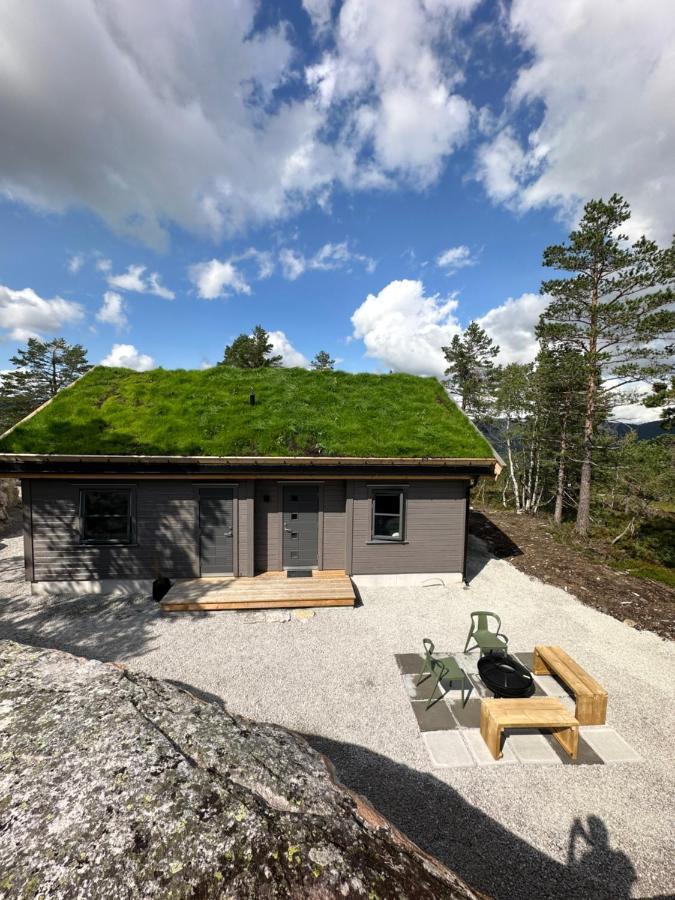 Modern Northern Lights Cabin Drangedal Dış mekan fotoğraf
