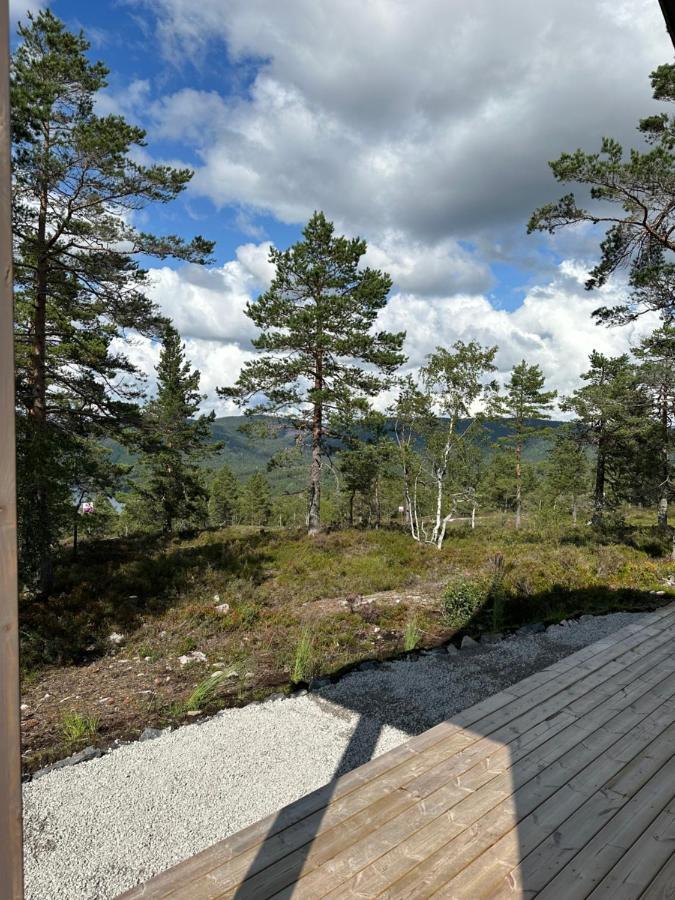 Modern Northern Lights Cabin Drangedal Dış mekan fotoğraf
