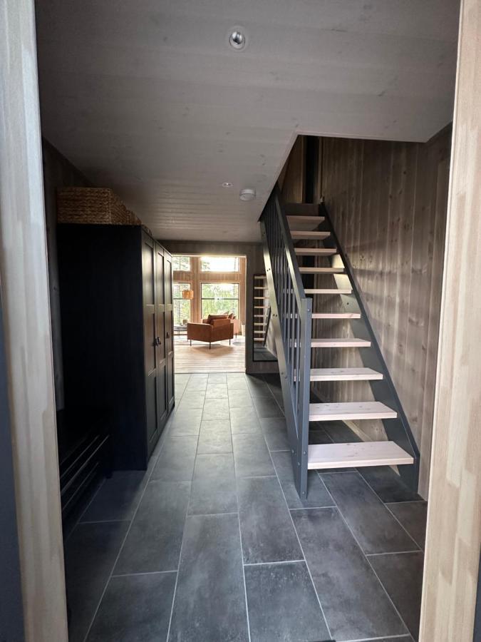 Modern Northern Lights Cabin Drangedal Dış mekan fotoğraf