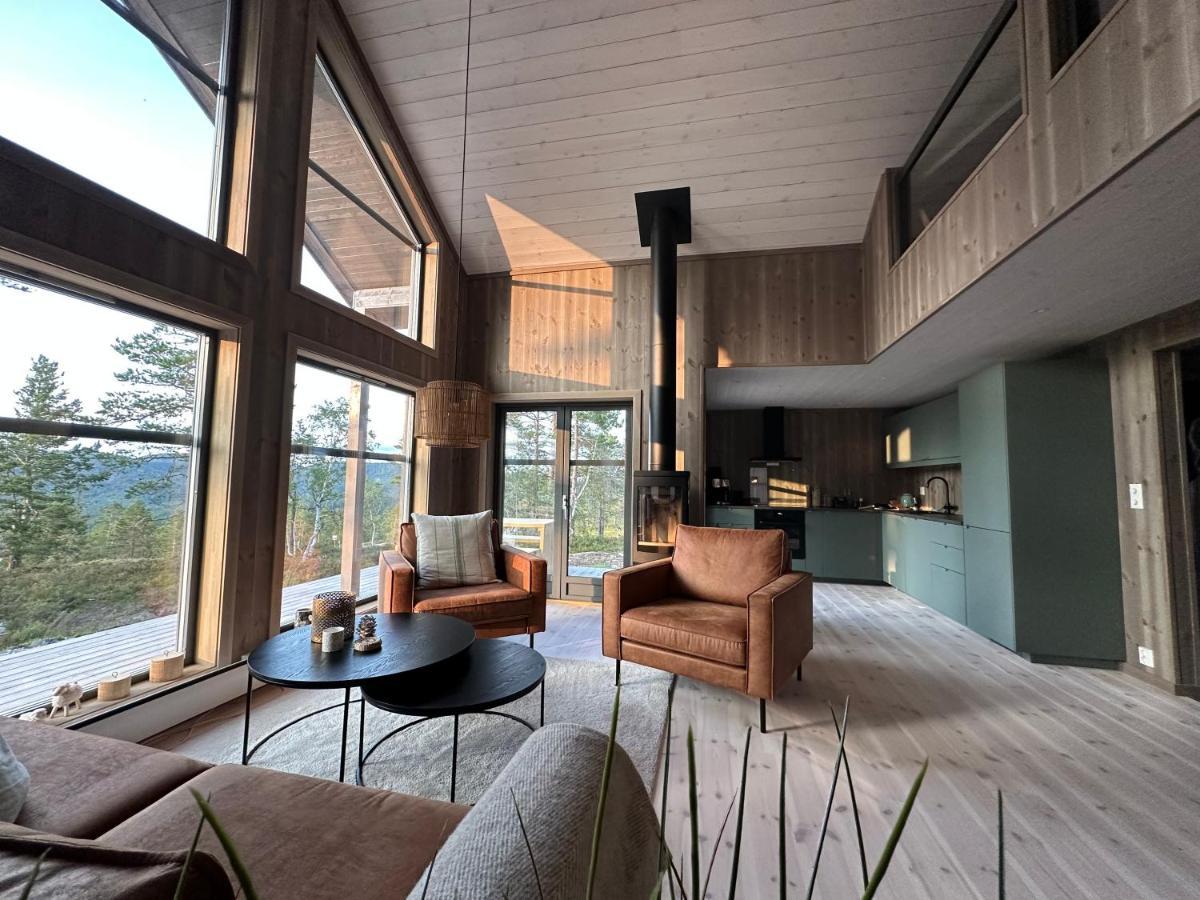 Modern Northern Lights Cabin Drangedal Dış mekan fotoğraf
