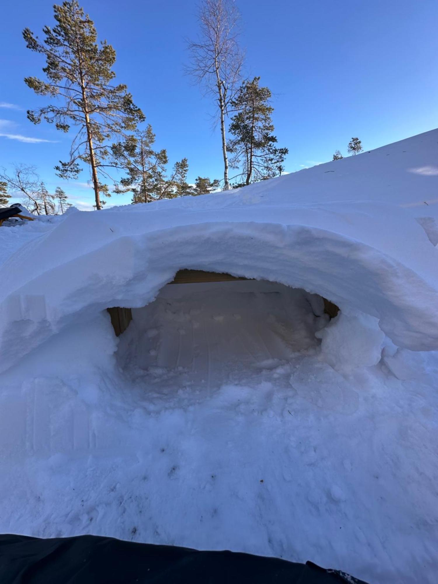Modern Northern Lights Cabin Drangedal Dış mekan fotoğraf
