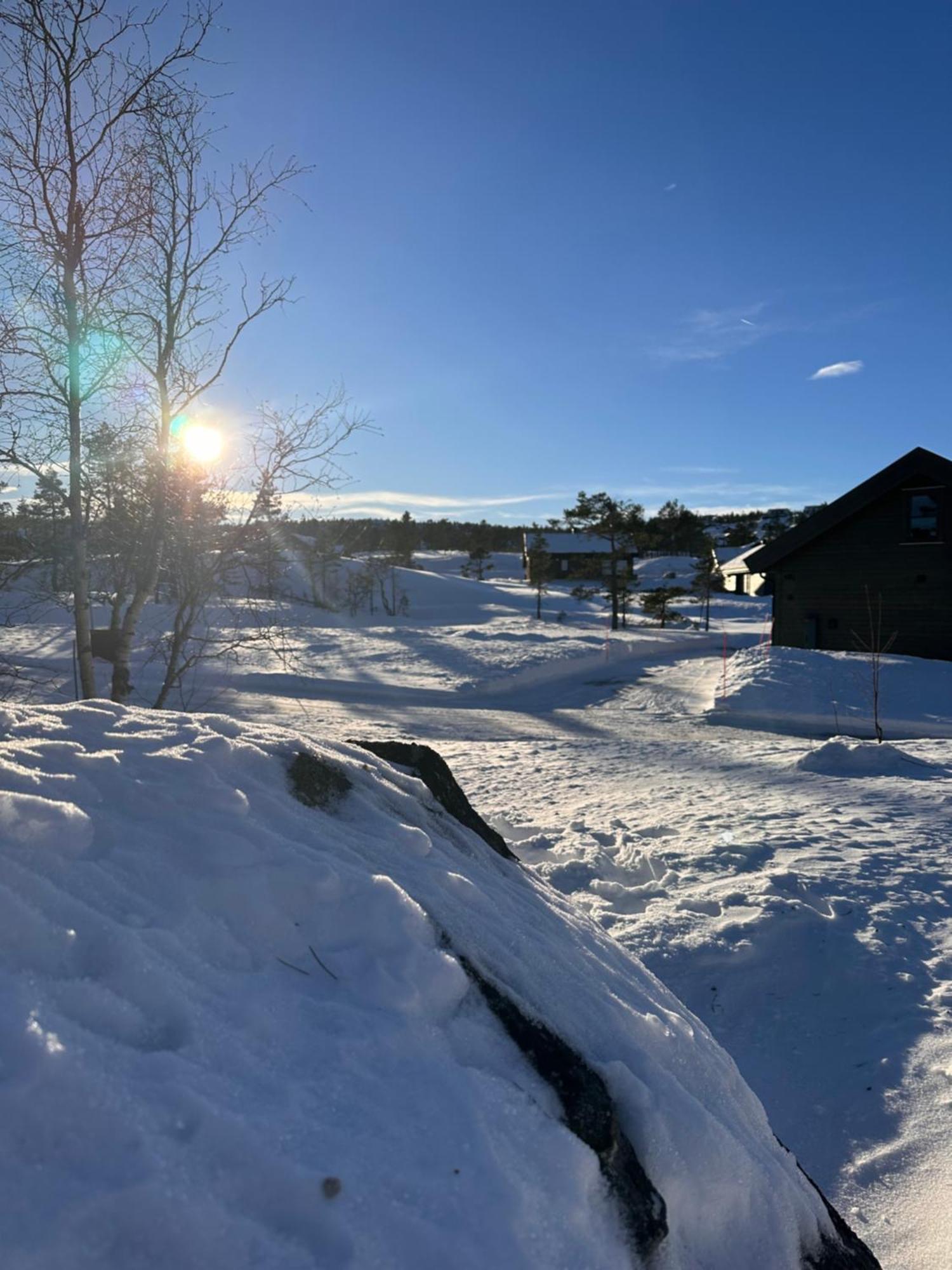 Modern Northern Lights Cabin Drangedal Dış mekan fotoğraf