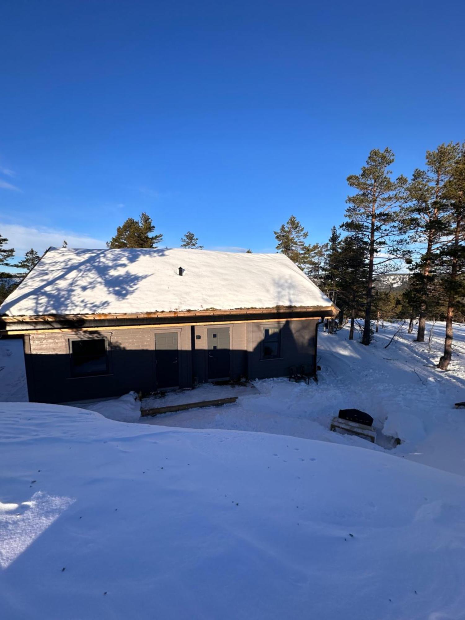 Modern Northern Lights Cabin Drangedal Dış mekan fotoğraf