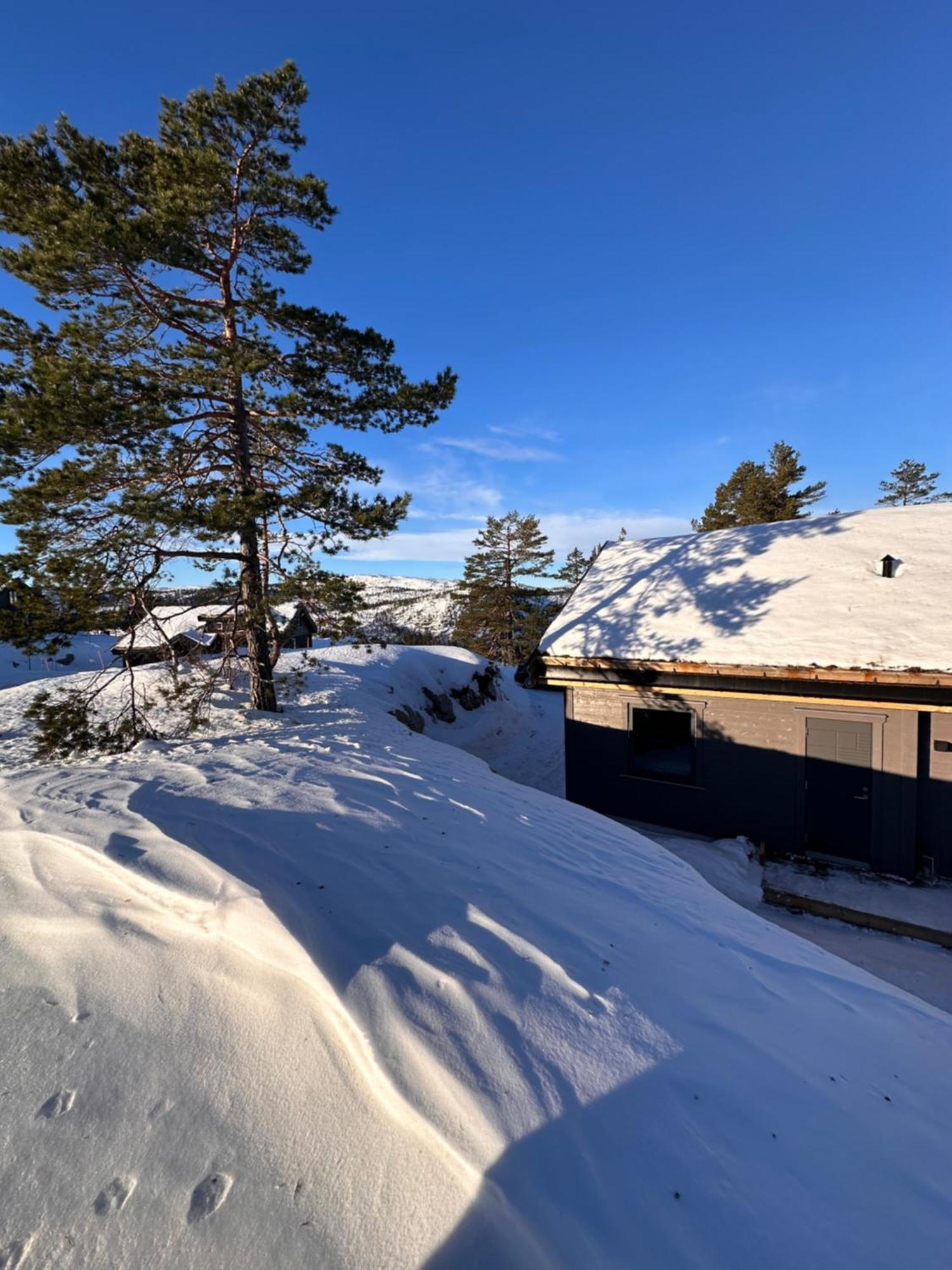 Modern Northern Lights Cabin Drangedal Dış mekan fotoğraf