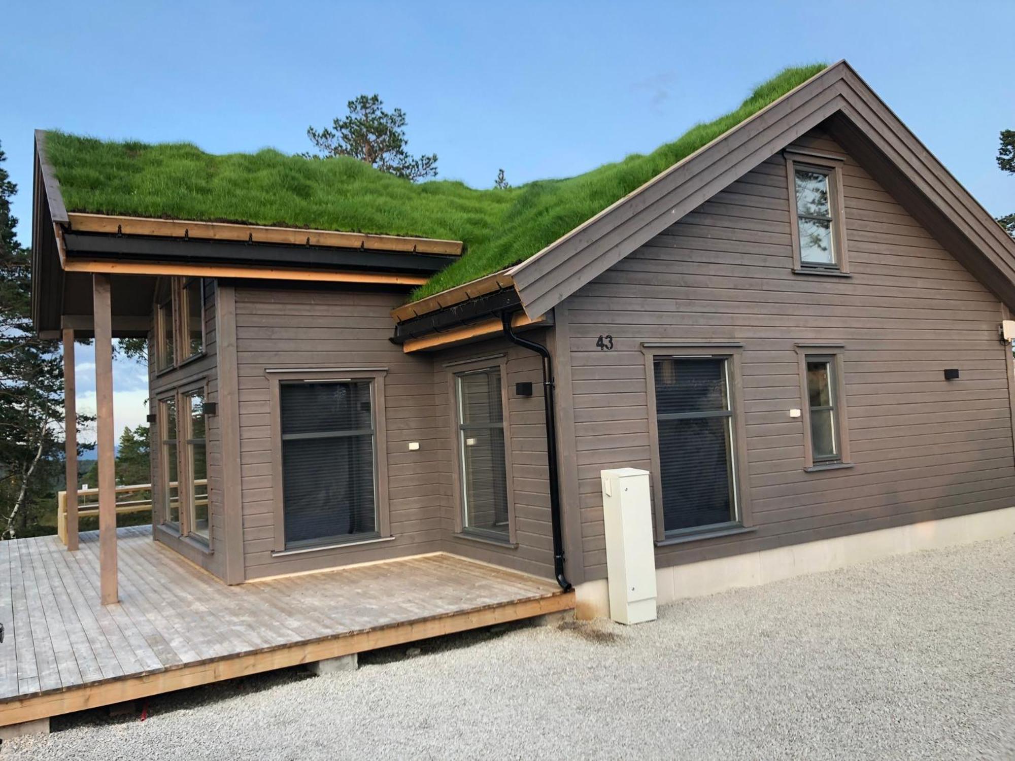 Modern Northern Lights Cabin Drangedal Dış mekan fotoğraf