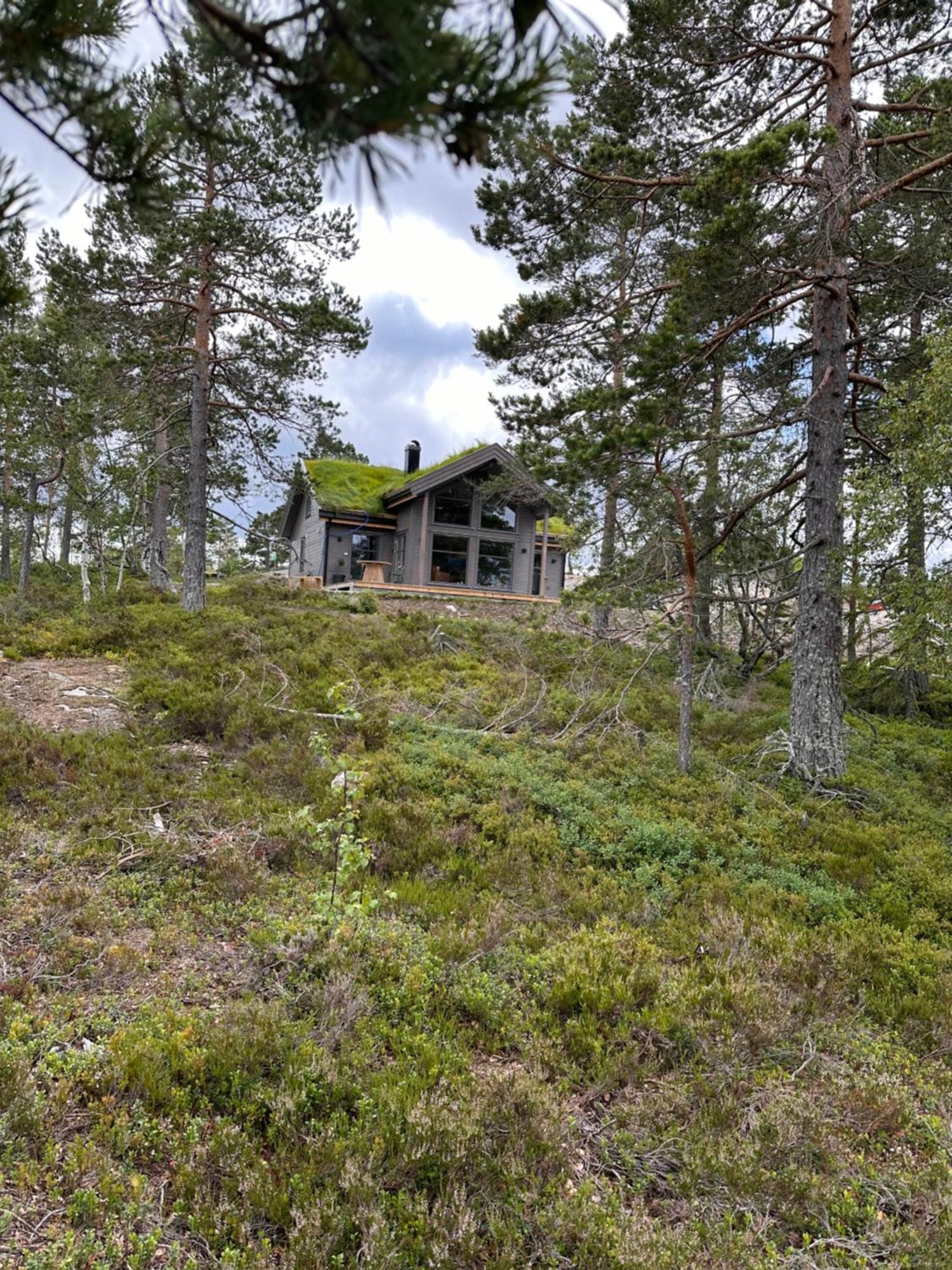 Modern Northern Lights Cabin Drangedal Dış mekan fotoğraf