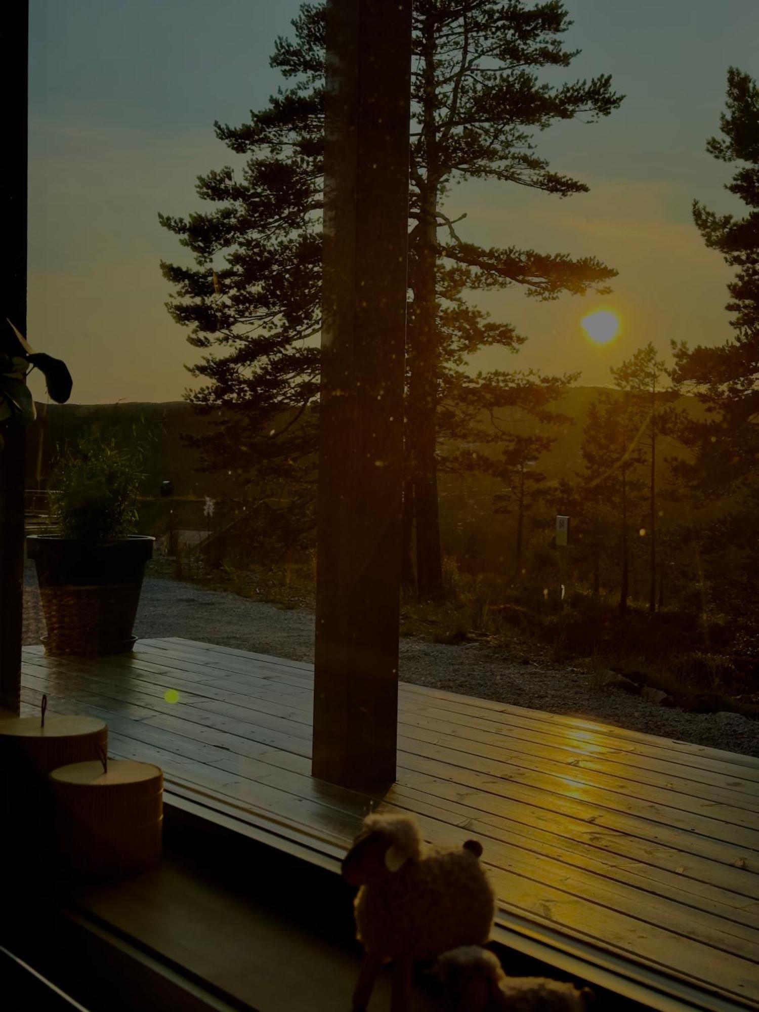 Modern Northern Lights Cabin Drangedal Dış mekan fotoğraf