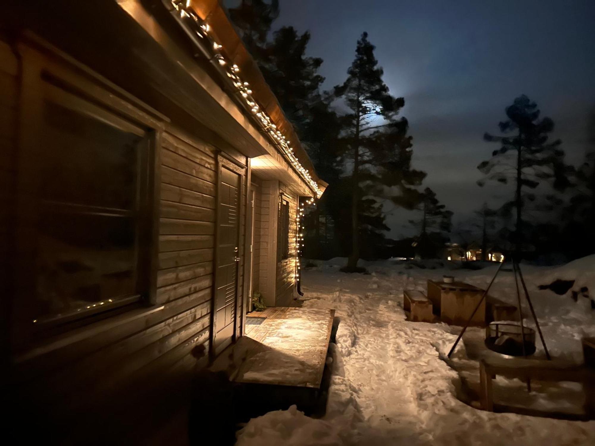 Modern Northern Lights Cabin Drangedal Dış mekan fotoğraf