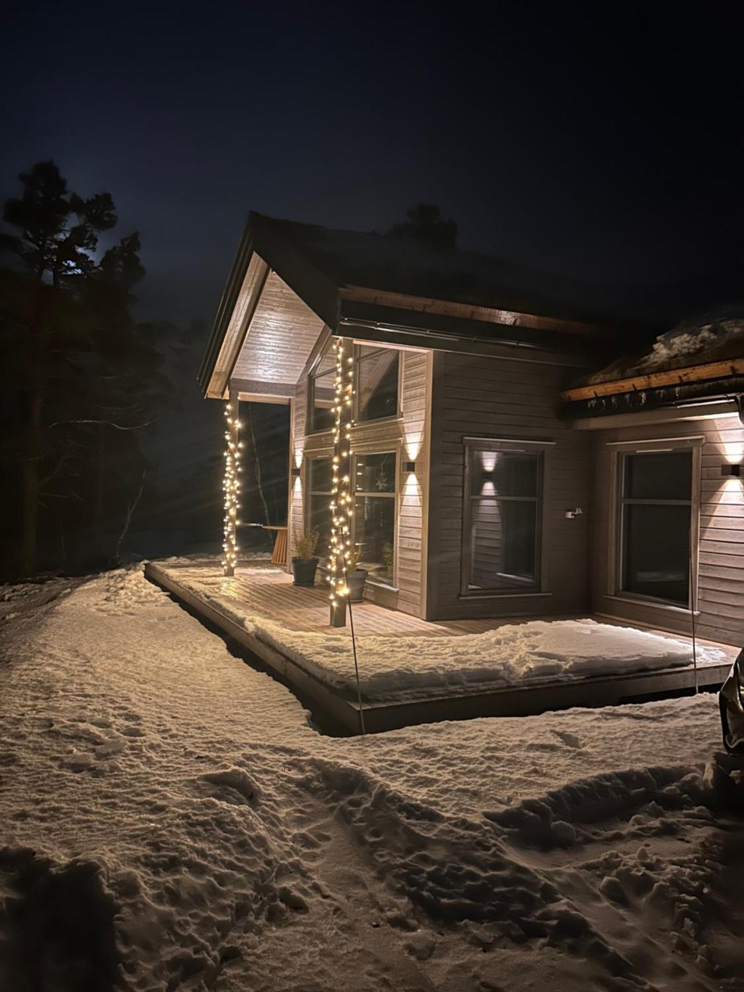 Modern Northern Lights Cabin Drangedal Dış mekan fotoğraf